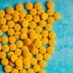 Celastrus Paniculatus Drug Interactions